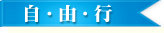上海世博自由行