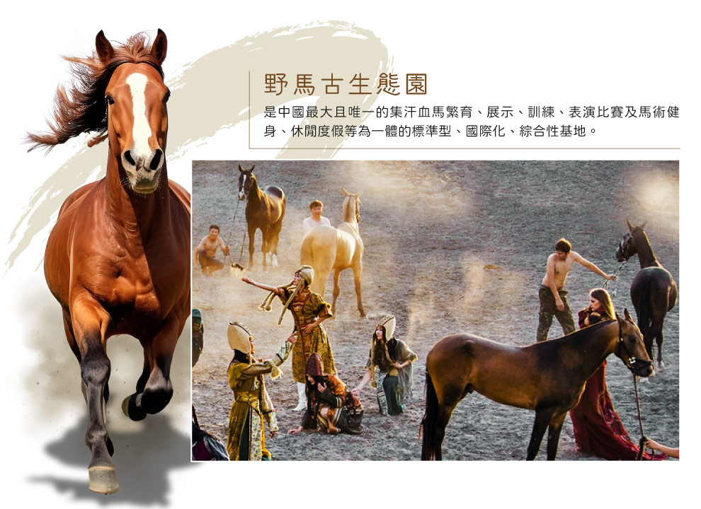 野馬生態園