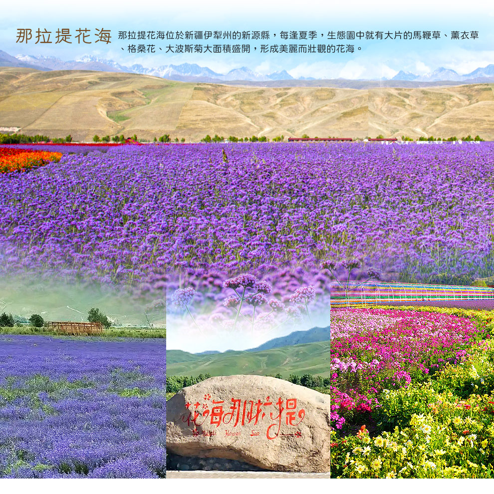 花海那拉提