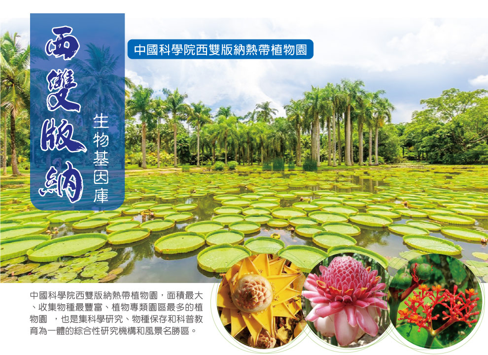 西雙版納植物園