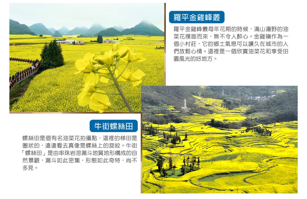 金雞峰叢街螺絲田加級寨萬畝梨花