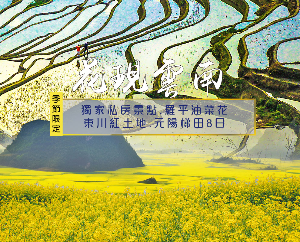 花現雲南~加級寨萬畝梨花.羅平油菜花東川紅土地元陽梯田8日