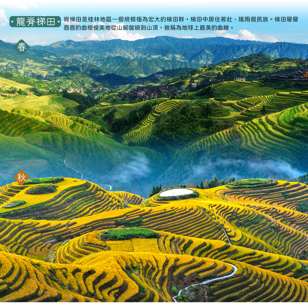 龍脊梯田