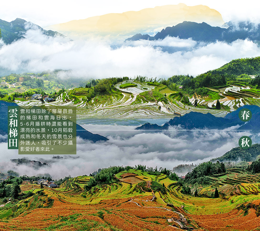 雲和梯田