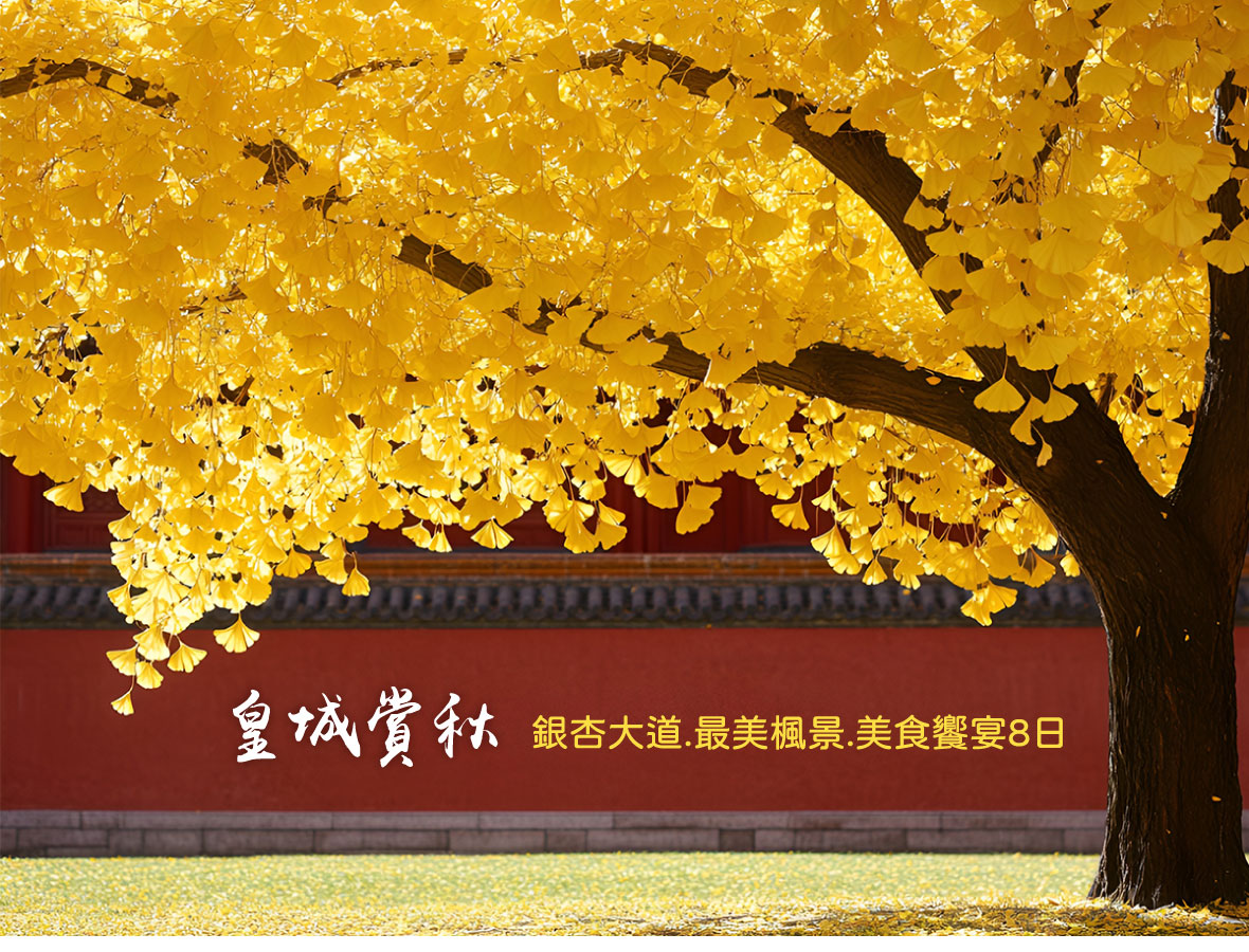 京城賞秋~銀杏大道.最美楓景.美食饗宴8日