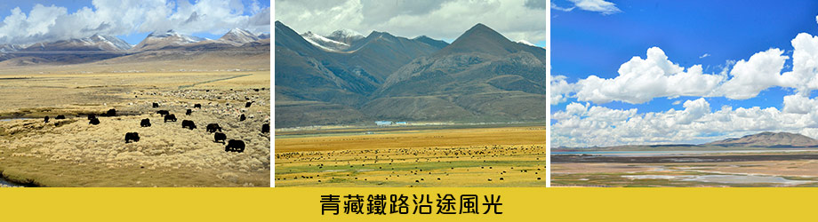 青藏鐵路沿途風光