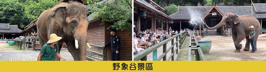 野象谷景區