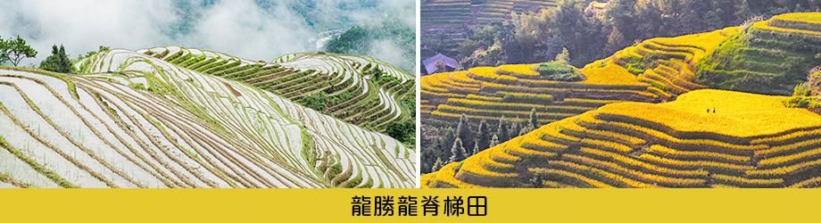 龍勝龍脊梯田