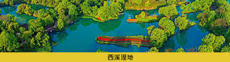 西溪溼地