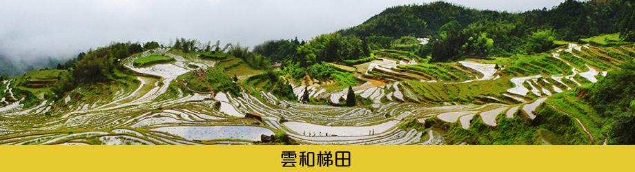 雲和梯田