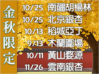 金秋限定