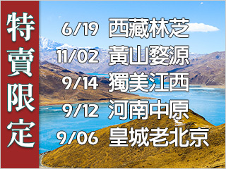 特賣限定