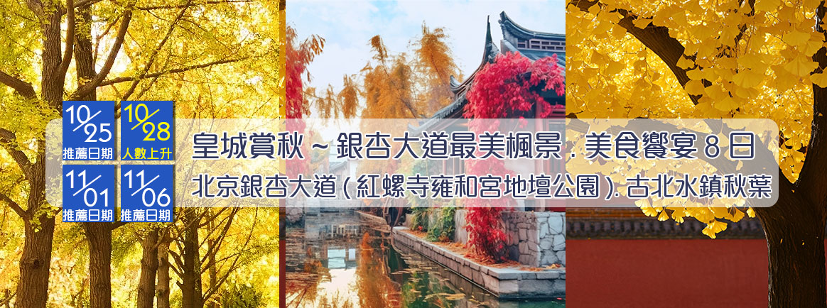 皇城銀杏楓景限定