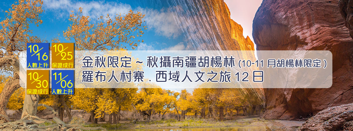 秋攝南疆胡楊林