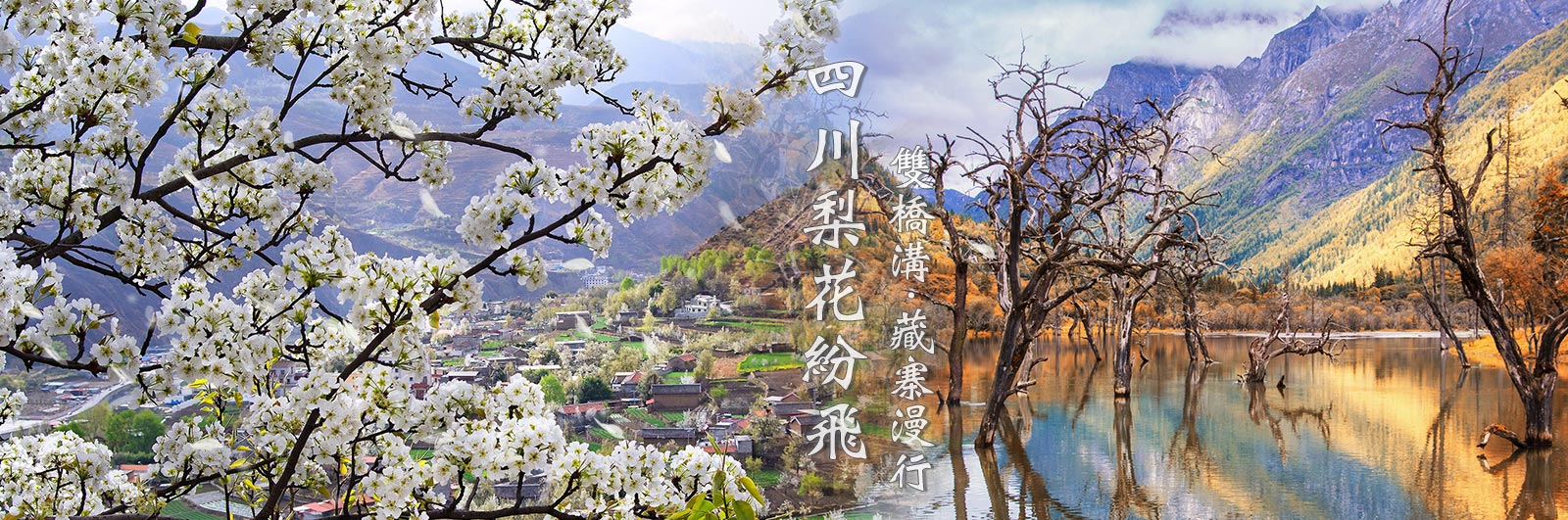 花現四川