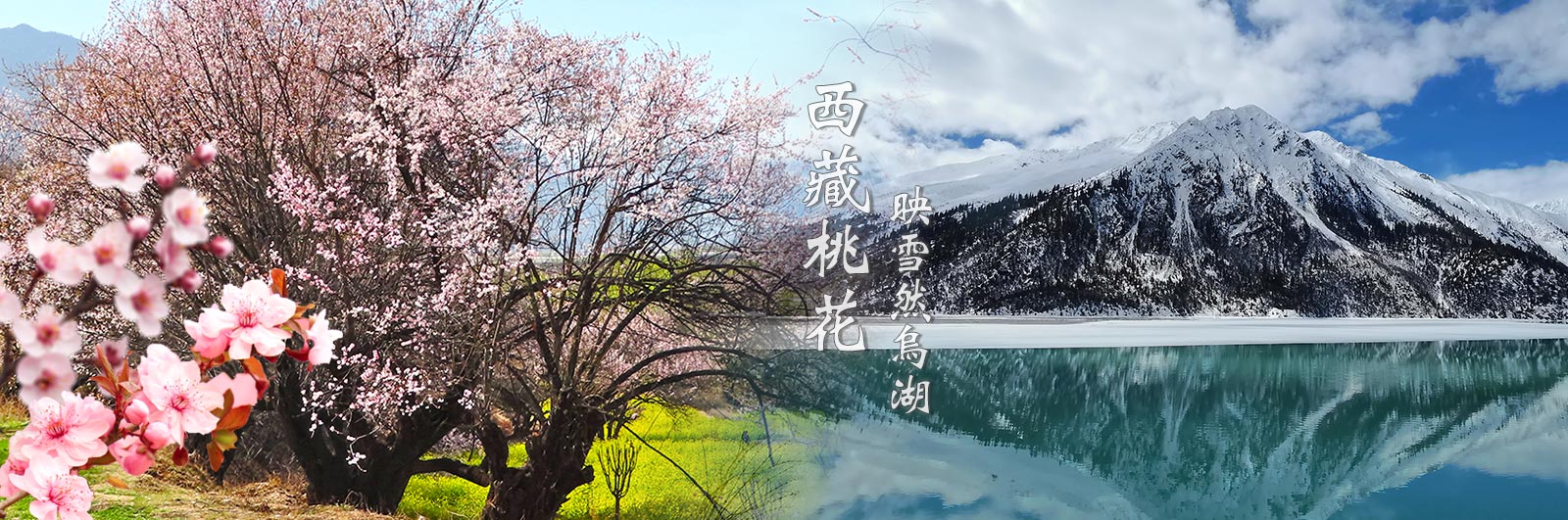 花現西藏