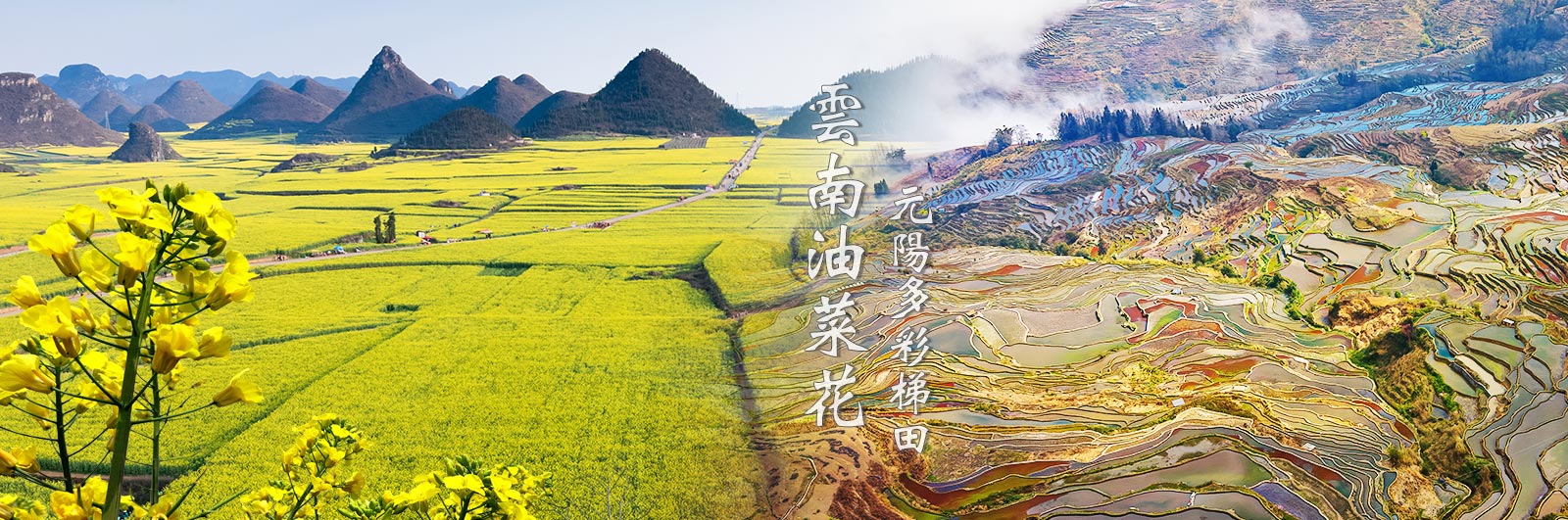 花現雲南