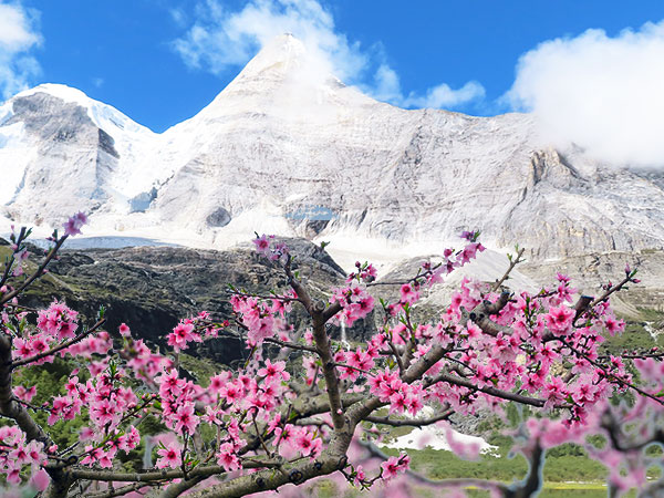 四川-稻城亞丁.甘南九寨