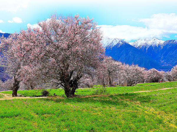 西藏-神山聖湖.聖靈之地