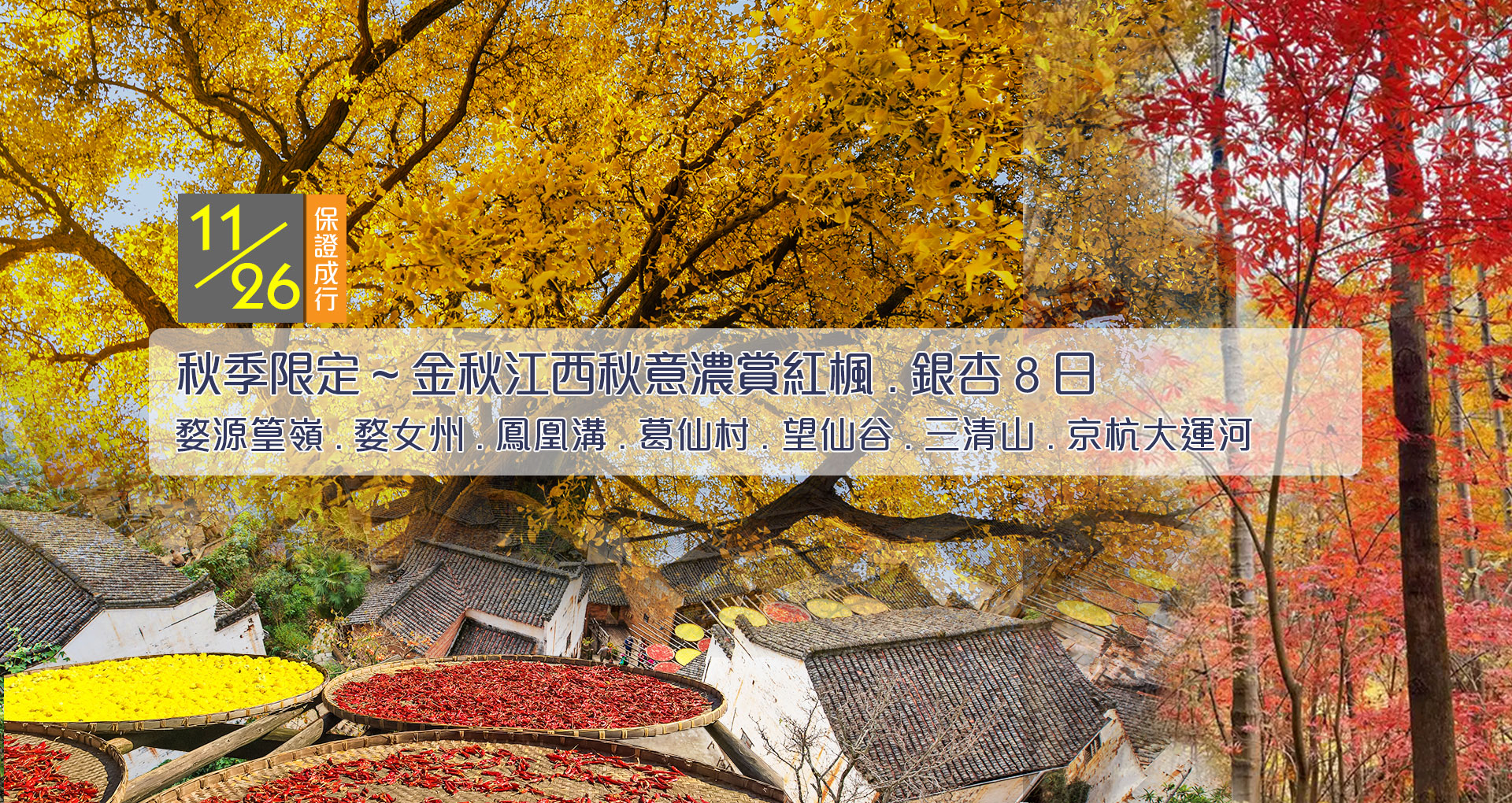 江西賞楓.銀杏8日