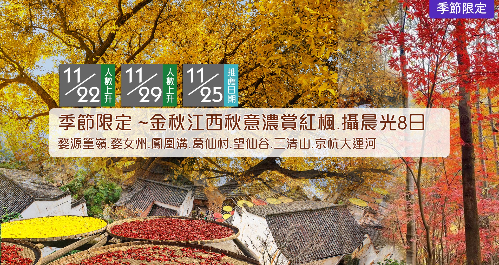 金秋江西紅楓8日