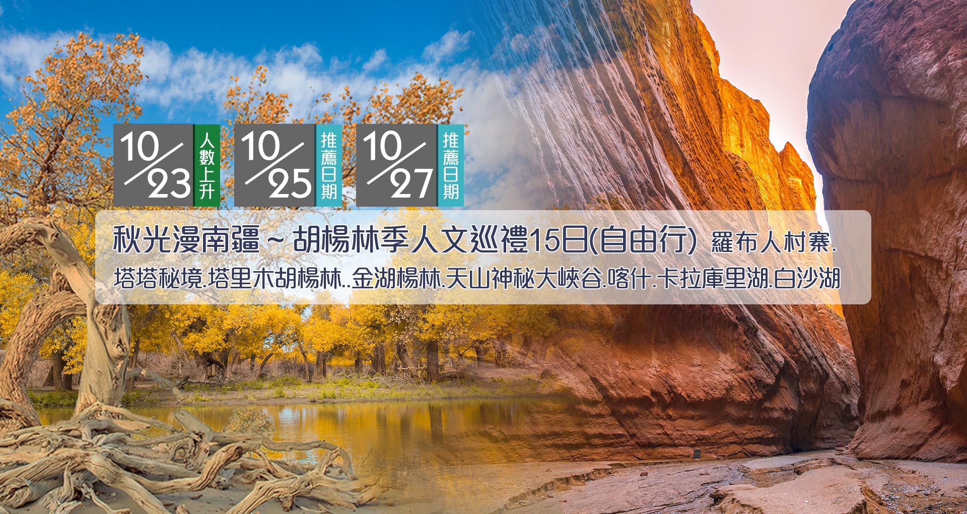 南疆胡楊林15日