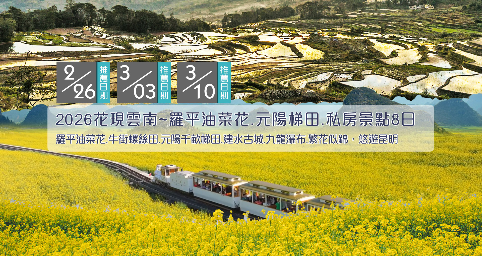 雲南羅平油菜花