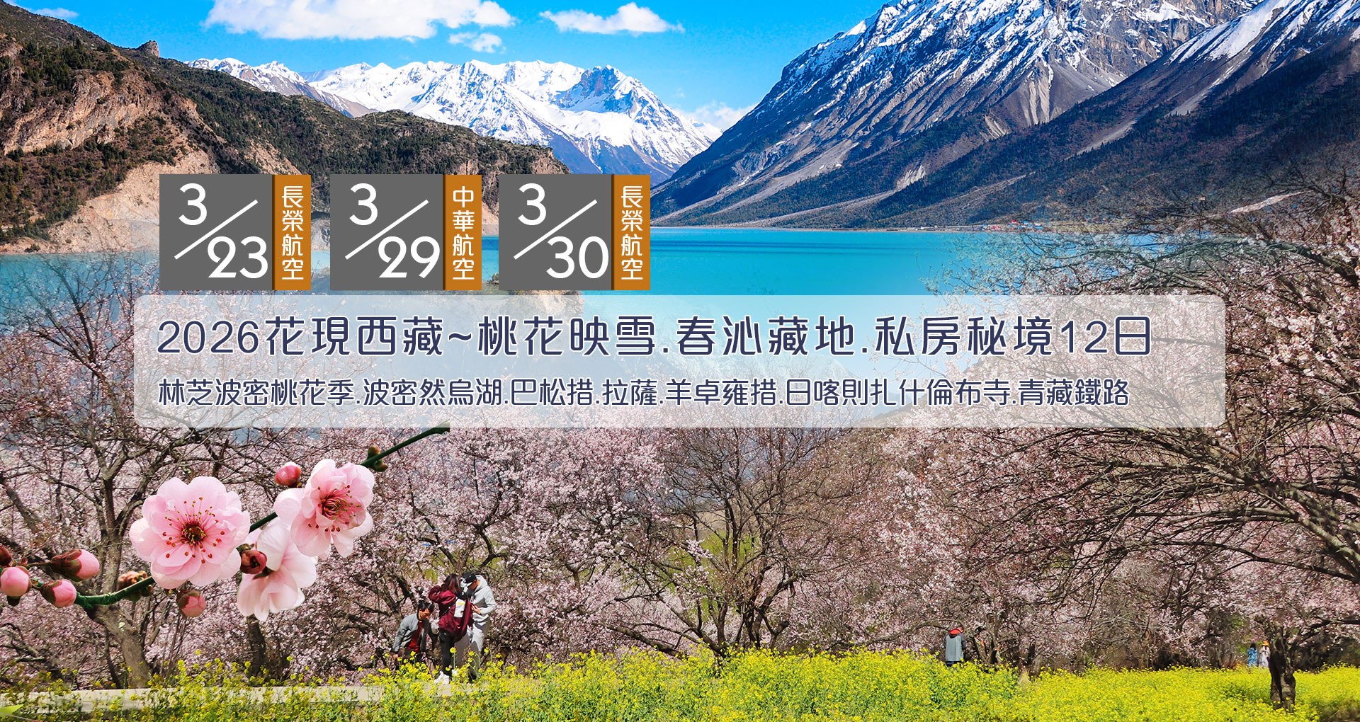 西藏林芝桃花季