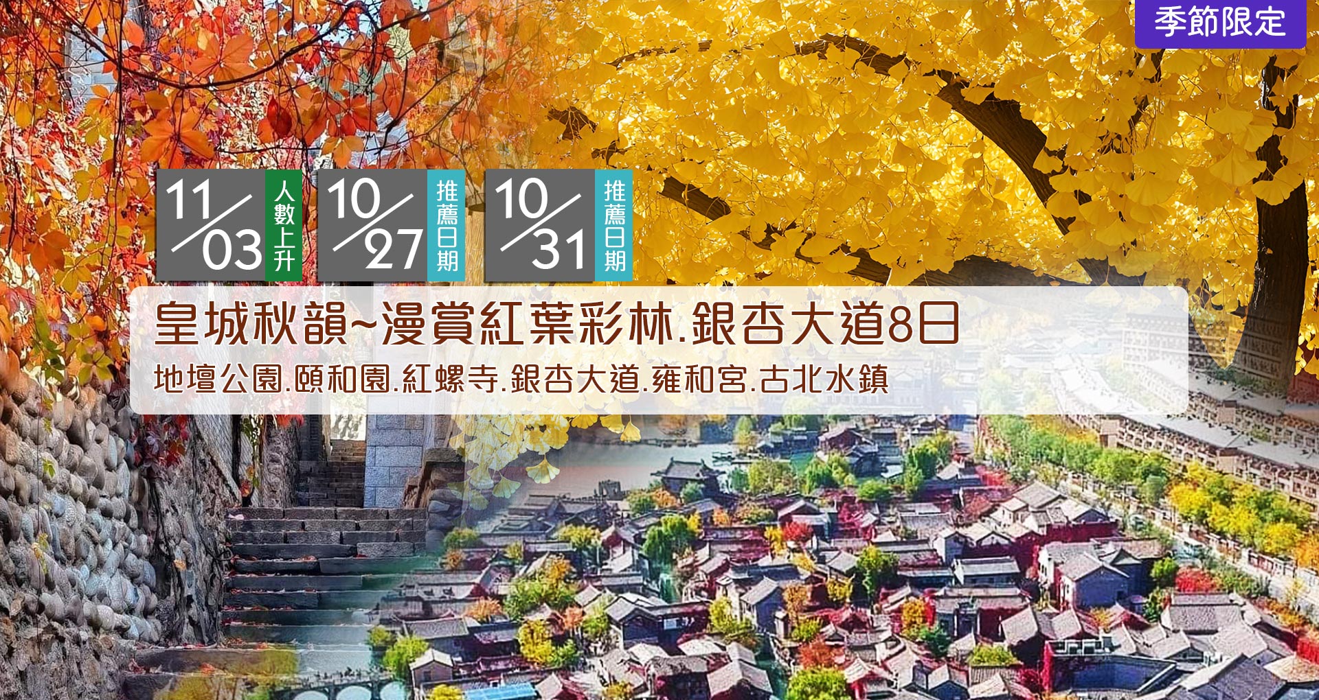 皇城銀杏秋韻8日