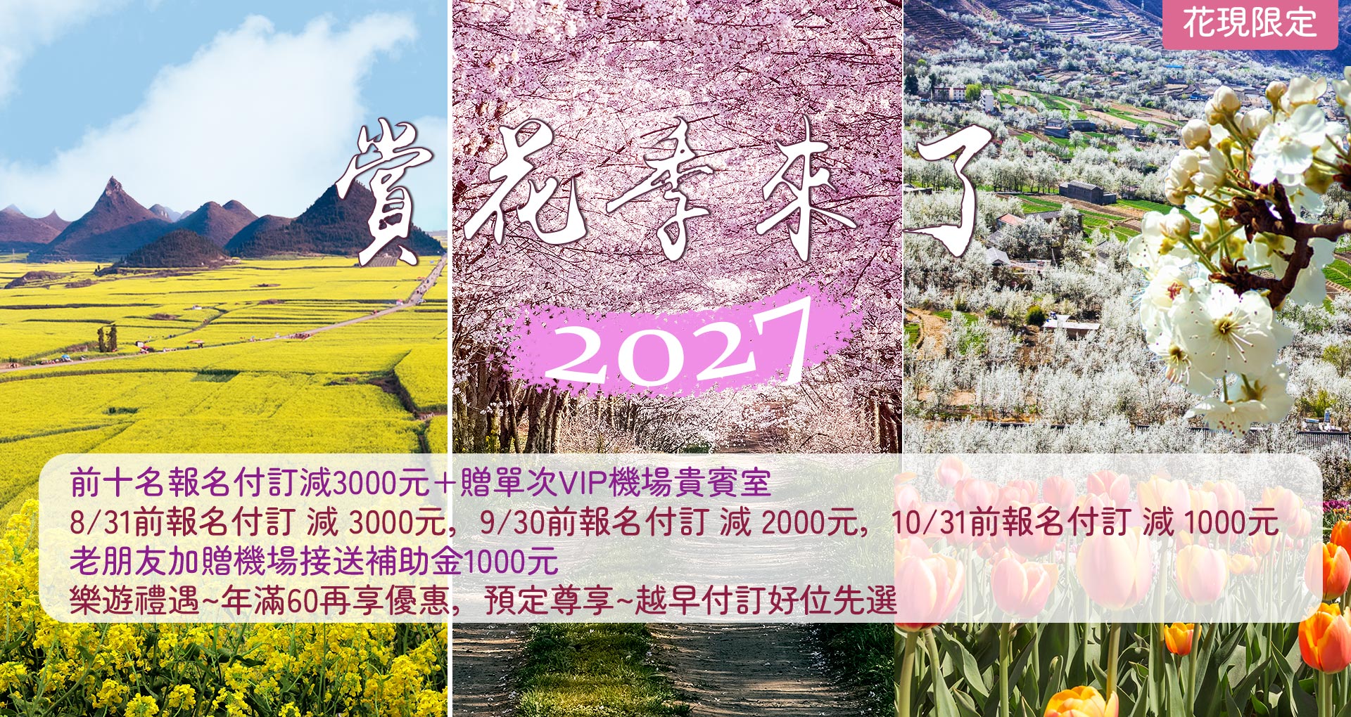2027花現系列
