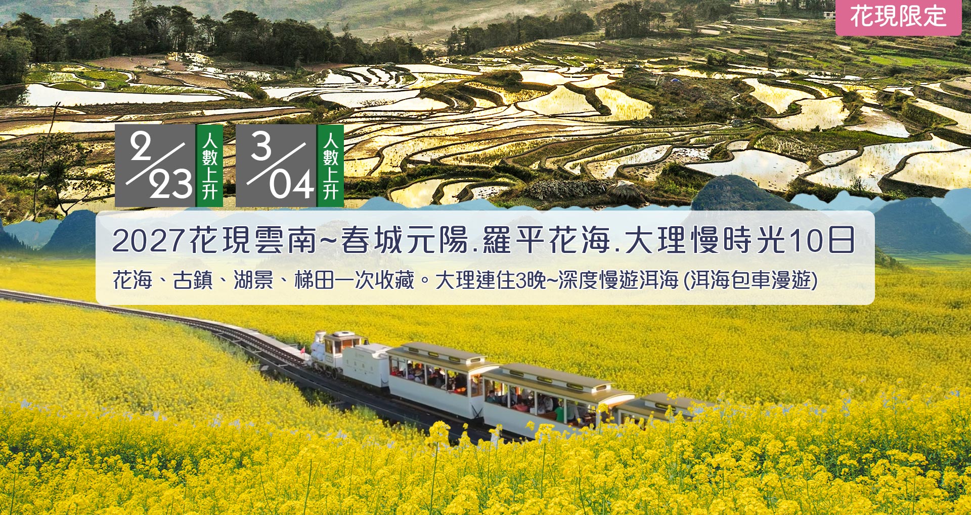 2027雲南花海梯田