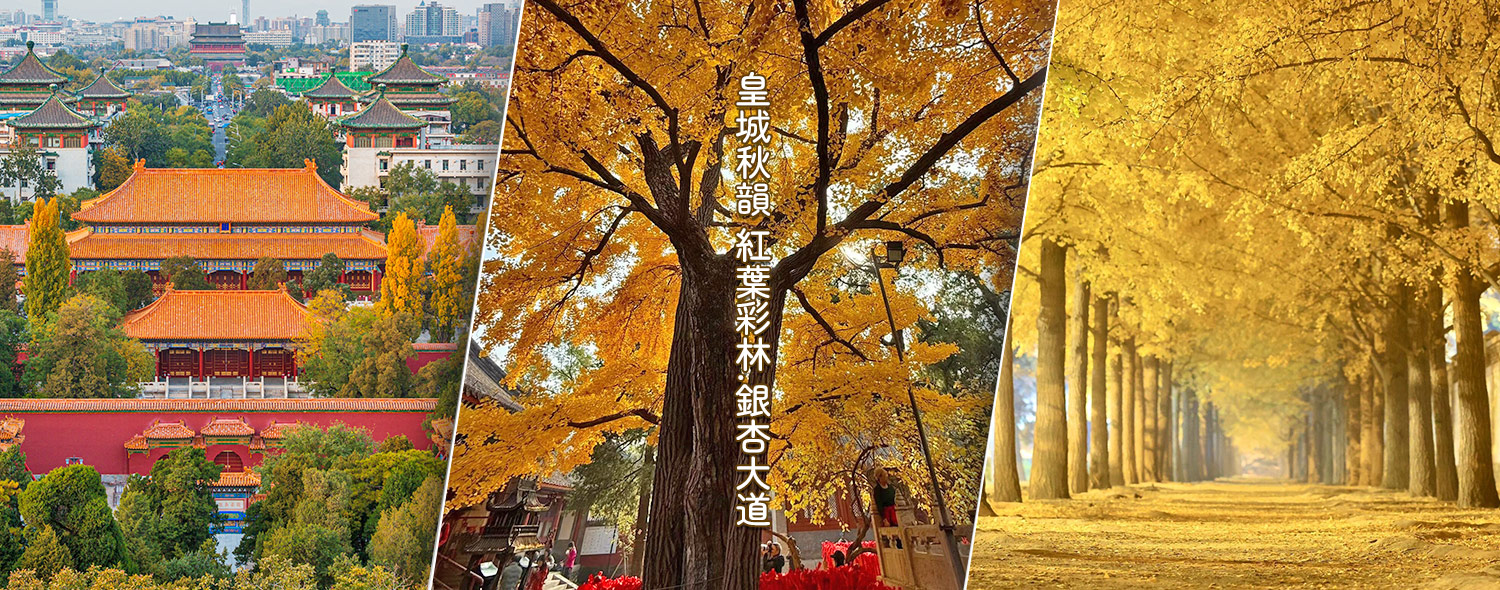 季節限定